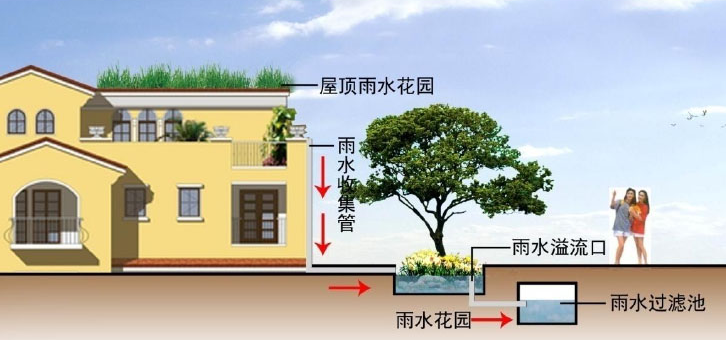 雨水收集系統(tǒng)的幾種類型知道嗎？由哪些結(jié)構(gòu)組成？
